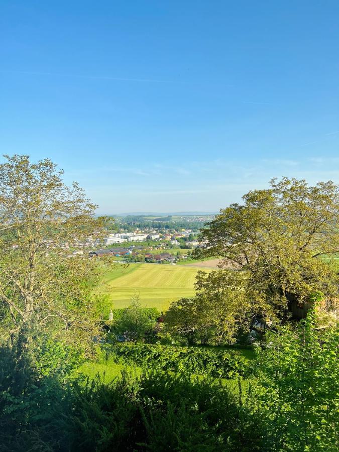 Gruenberg Apartments Gmunden Ngoại thất bức ảnh